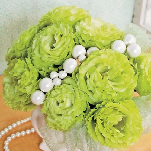 Rosanne 2 Clear Green Lisianthus Seeds 4 Rosanne 2 Clear Green Lisianthus Seeds - Image 2