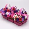 E3 Easy Wave® Formula Mixture Petunia Seeds -Botanical Bliss 54089