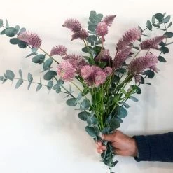 Matilda Ptilotus Seeds -Botanical Bliss 54156 PK P1 2