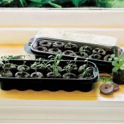 Park's Windowsill Greenhouse Refills 9 Park's Windowsill Greenhouse Refills -Botanical Bliss 9093 pk 36