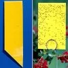Yellow Sticky Insect Traps - Collection -Botanical Bliss 96059