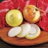 Texas Super-Sweet Onion Sets -Botanical Bliss 96540 pk 60