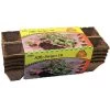 Jiffystrips® Biodegradable Pack Of 5 (10-packs) -Botanical Bliss 96625 pk 5