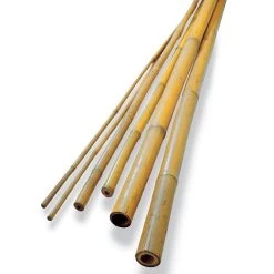 Bamboo Plant Stakes - Set Of 12 -Botanical Bliss 96885 PK 12 1