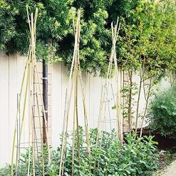 Bamboo Plant Stakes - Set Of 12 -Botanical Bliss 96885 PK 12 3