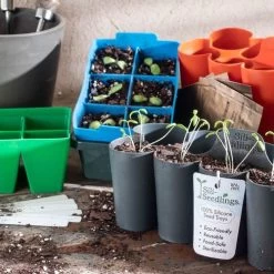 Sili-Seedlings® 6-Cell & 10-Cell Seedling Trays