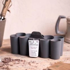 Sili-Seedlings® 6-Cell & 10-Cell Seedling Trays -Botanical Bliss V2944 3