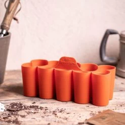 Sili-Seedlings® 6-Cell & 10-Cell Seedling Trays -Botanical Bliss V2944 4