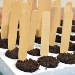 White Birch Plant Tags