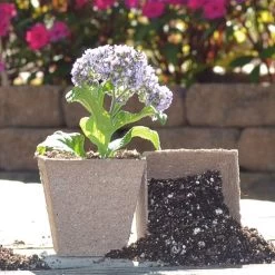 Jiffypots® Square Biodegradable (Pack Of 100) -Botanical Bliss v1593 2