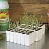Park-Starts® Seed Starters And Refills -Botanical Bliss v1595