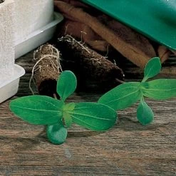 Park-Starts® Seed Starters And Refills -Botanical Bliss v1595 2