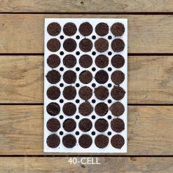 Bio Dome Planting Blocks With Sponges -Botanical Bliss v1598 2