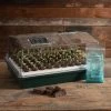 Park's Original Bio Dome Seed-Starting System 1 Park's Original Bio Dome Seed-Starting System -Botanical Bliss v1802