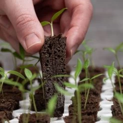 Park's Original Bio Dome Seed-Starting System 11 Park's Original Bio Dome Seed-Starting System -Botanical Bliss v1802 4