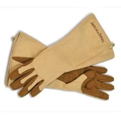 Jackson & Perkins Rose Gloves -Botanical Bliss v1871 1