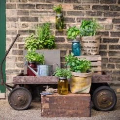 Modern Sprout Garden Jars -Botanical Bliss v1993 6