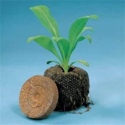 Park's One-Step Seed Starter -Botanical Bliss v2118 2