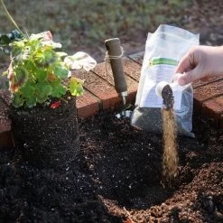 Organic Diehard™ Transplant Stress Relief -Botanical Bliss v2250 1