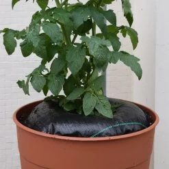 TreeDiaper® Hydration System -Botanical Bliss v2318 1