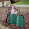 Reusable Garden & Leaf Bags -Botanical Bliss v2321
