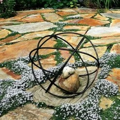 Isotoma Blue Star Creeper -Botanical Bliss v2602 2